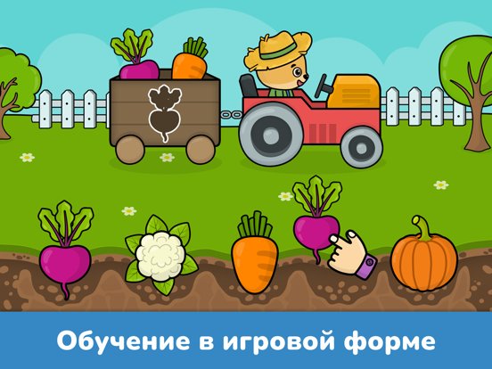 Развивающие игры для детей 2-4