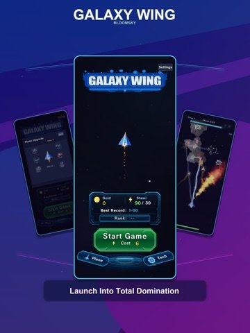 Galaxy Wing