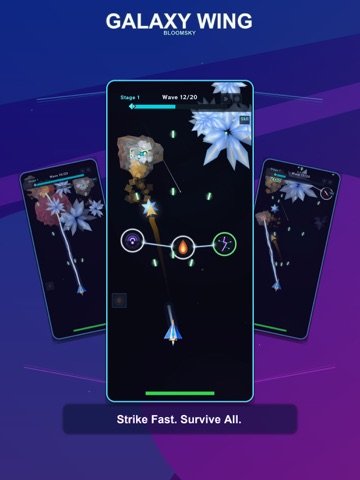 Galaxy Wing