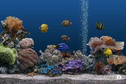 Marine Aquarium