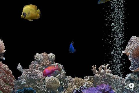 Marine Aquarium