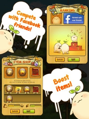 Mandora