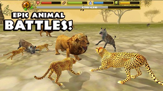 Cheetah Simulator