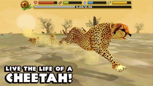 Cheetah Simulator
