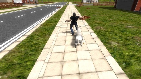 Crazy Goat