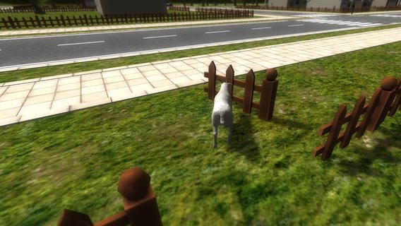 Crazy Goat
