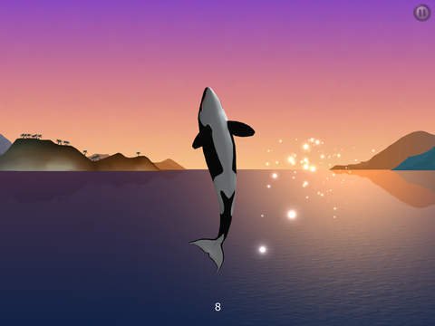 I Am Dolphin