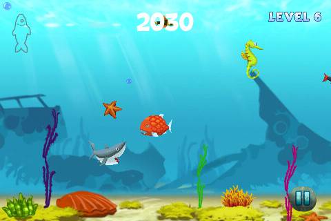 Fish!