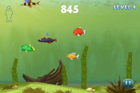 Fish!
