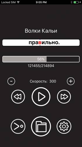 Dizzy Reader