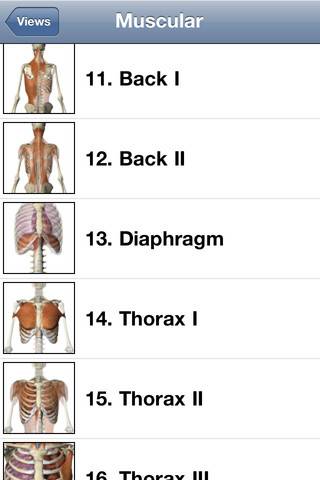 Visible Body for iPhone 4/4S 3D Human Anatomy Atlas