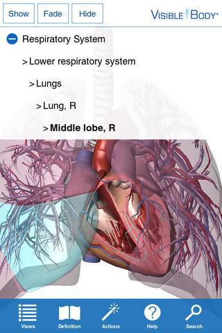 Visible Body for iPhone 4/4S 3D Human Anatomy Atlas