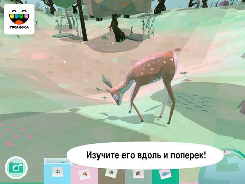 Toca Nature