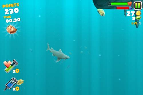 Shark! Shark!