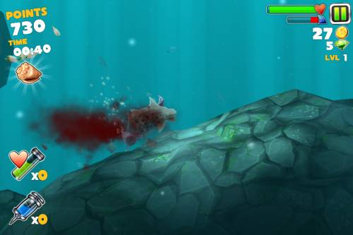 Shark! Shark!