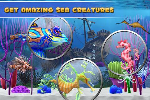 Fish Paradise