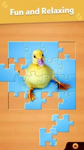 Puzzle Packs