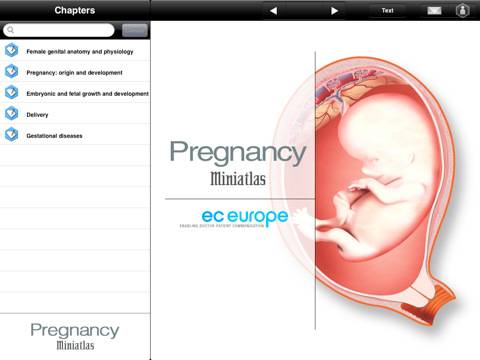 Pregnancy ☺