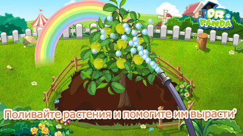 Огород Dr. Panda