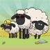 sheeps premium