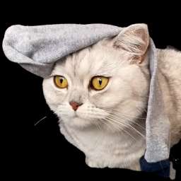 cackemcthecat