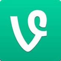 vine/ivy