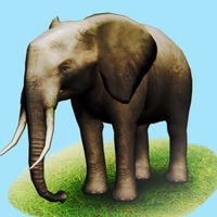 НАСТОЯЩИЕ ЖИВОТНЫЕ HD (Полное)