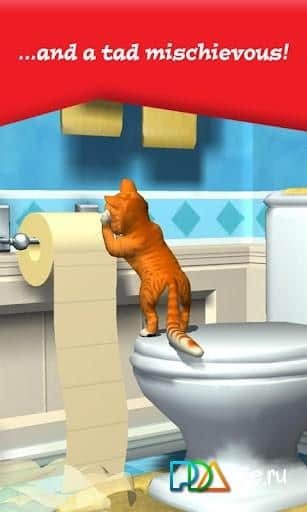 House Pest: Fiasco the Cat