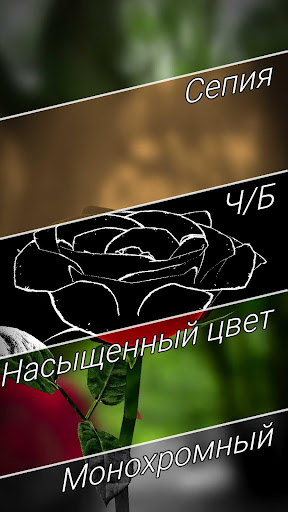 Живые обои "Роза 3D"