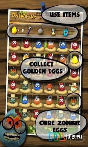 Egg Farm